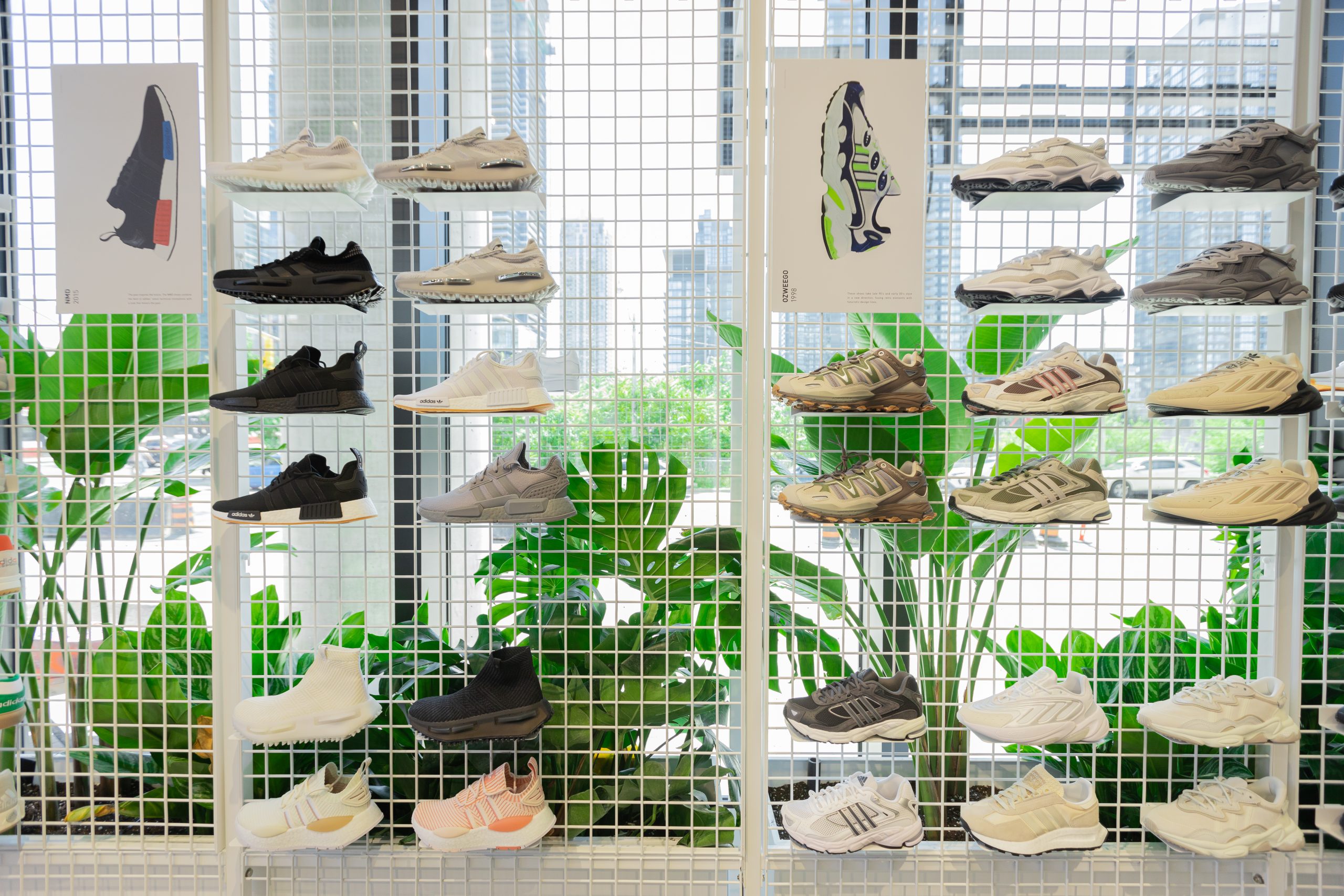 Adidas Store Plantscaping