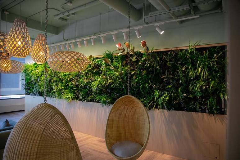 Living wall in office lunch room