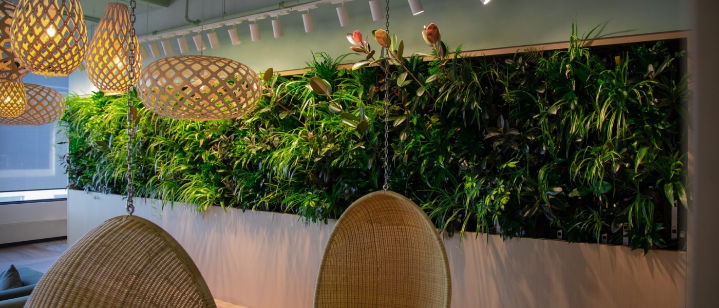 Plant wall in office