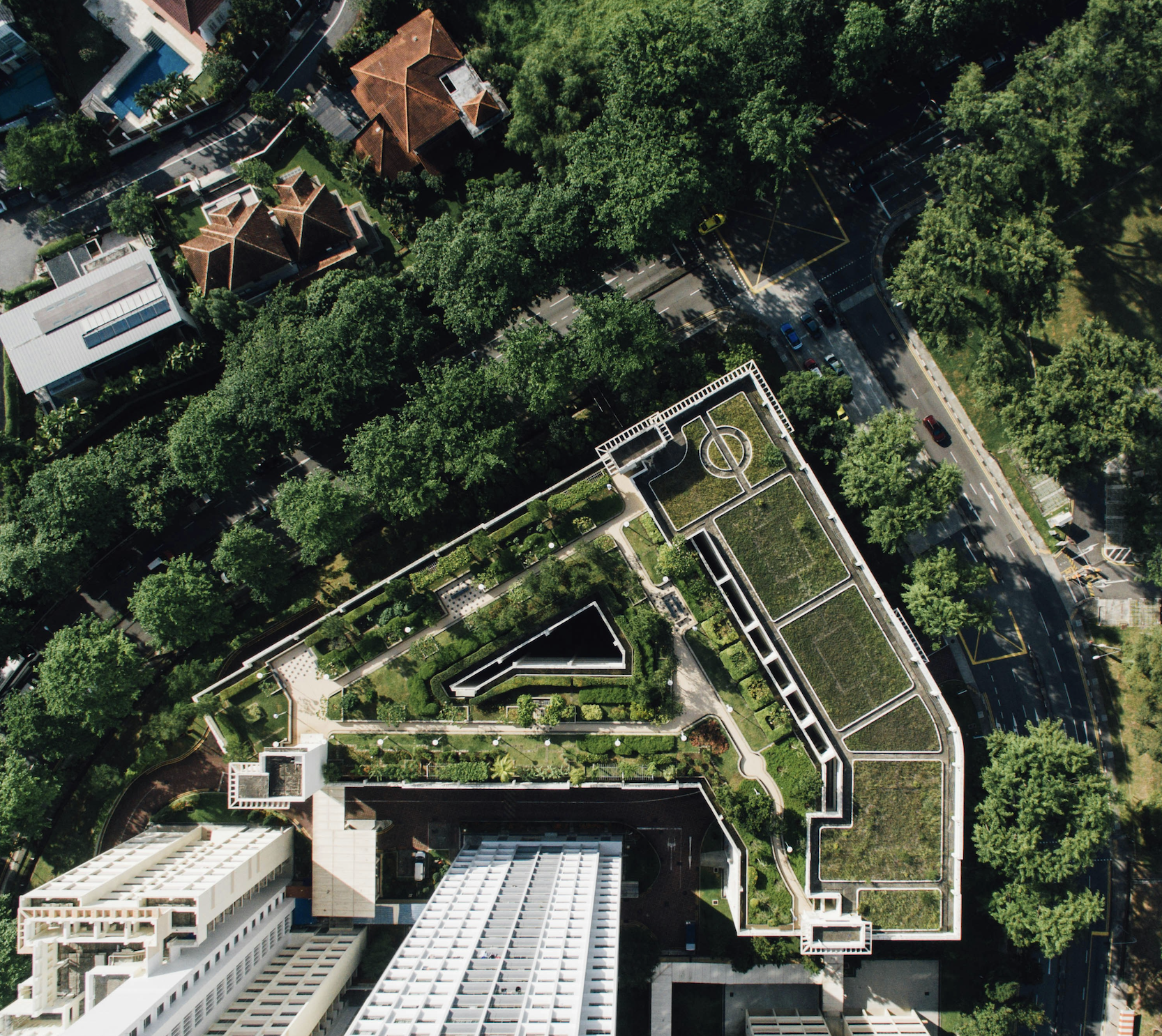 Green roof in urban space