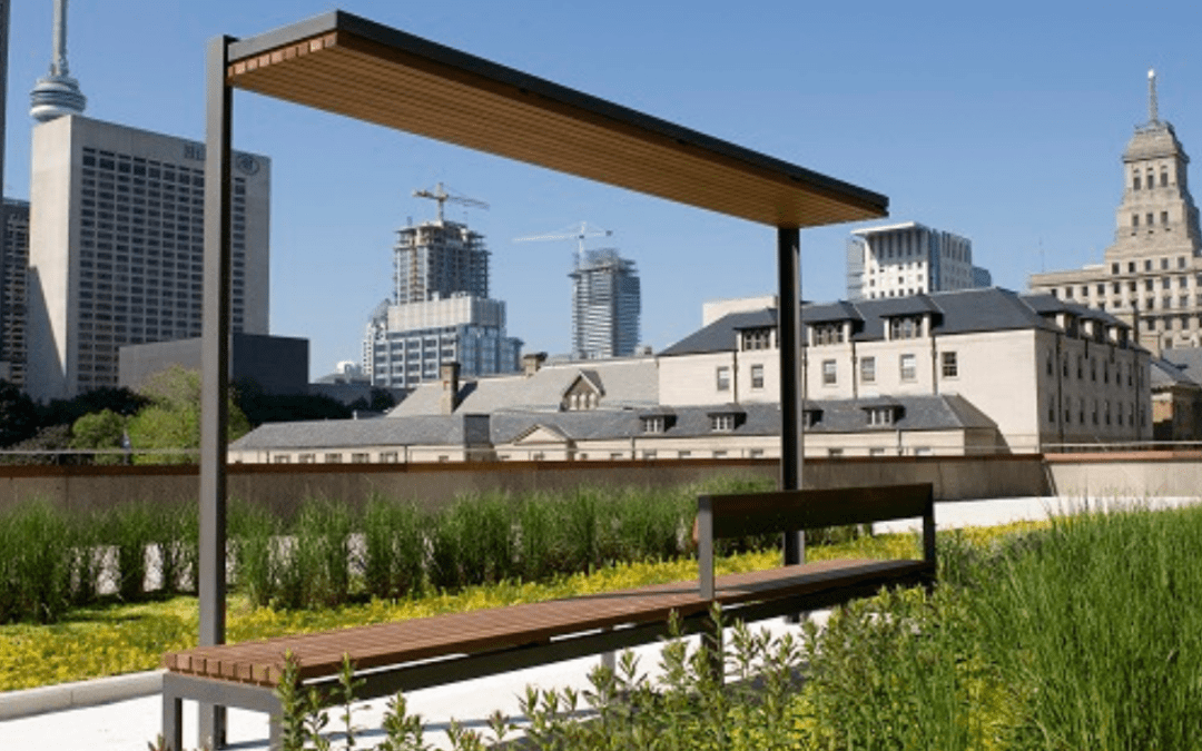 Growing Upward: The Rising Popularity of Green Roofs