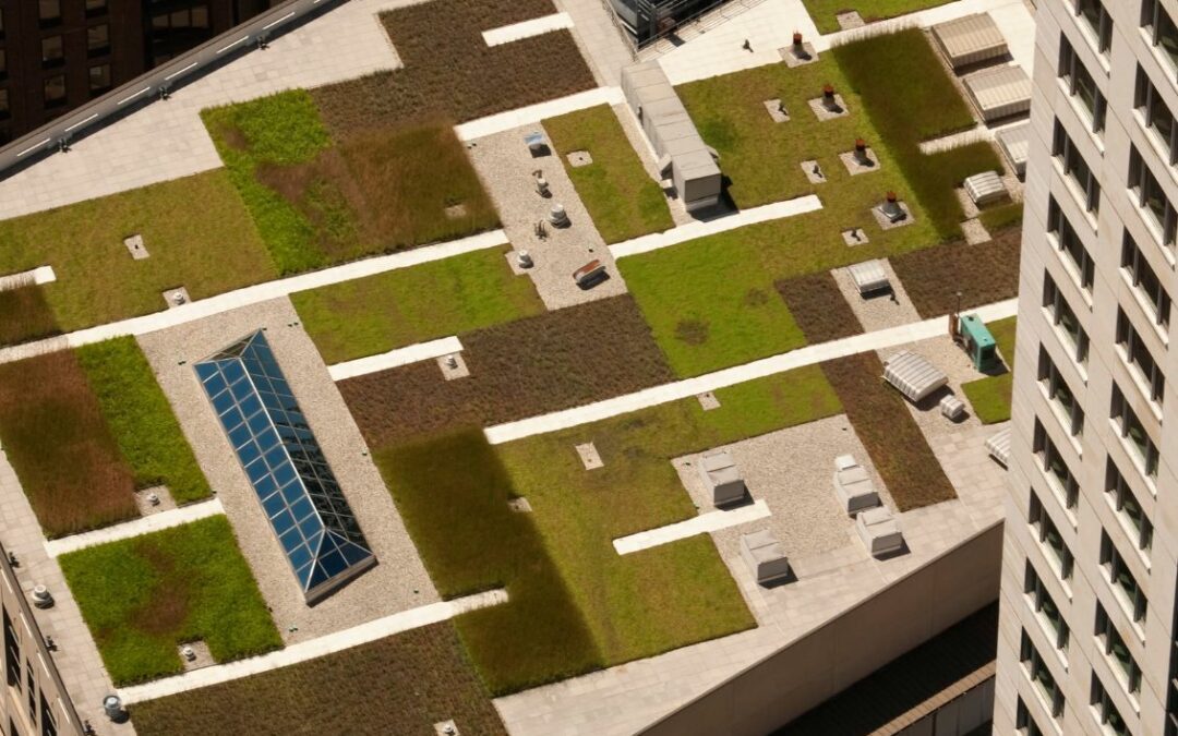 5 Benefits of Having A Green Roof