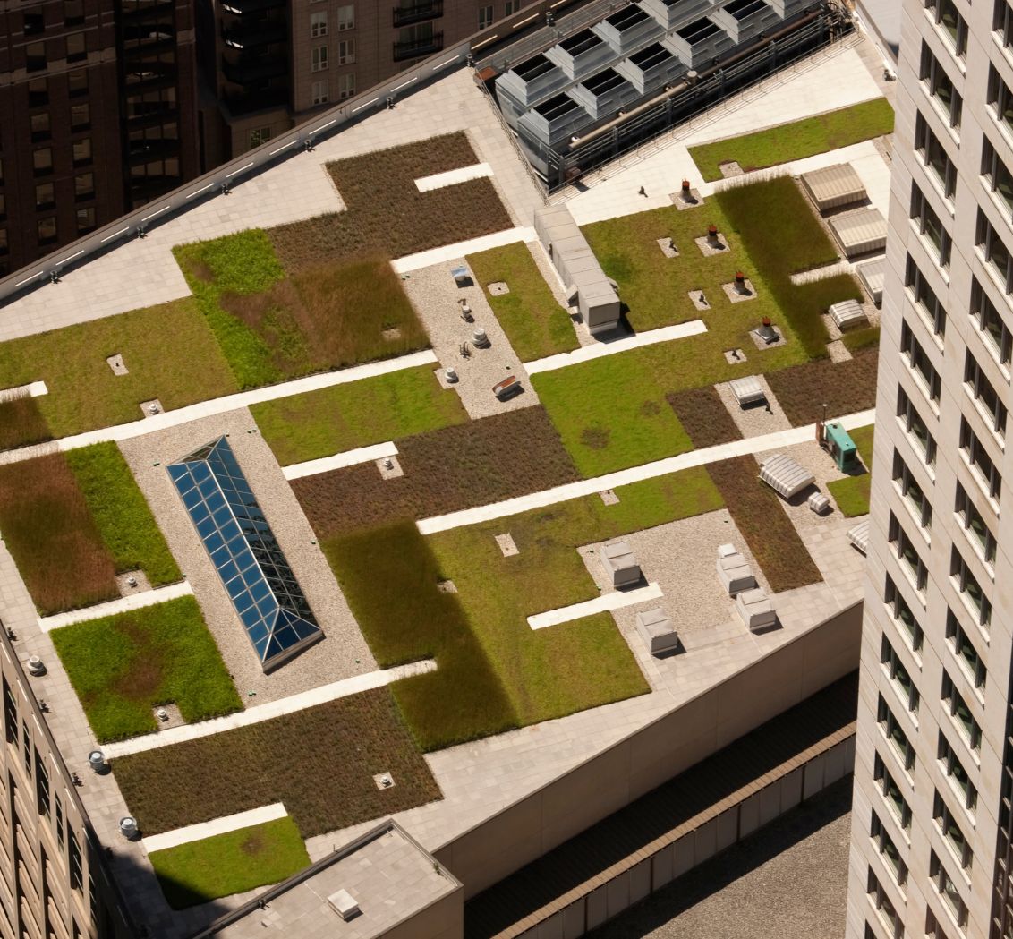 Green roof in urban setting