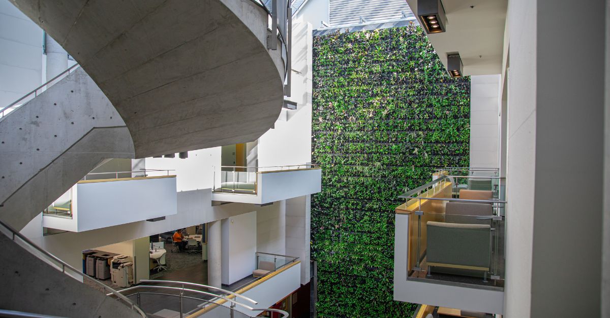University of Guelph Humber living wall