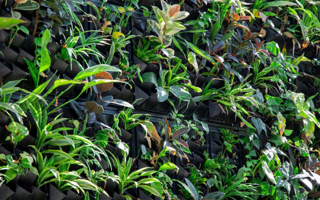 Which Living Wall System is Best For Your Project?