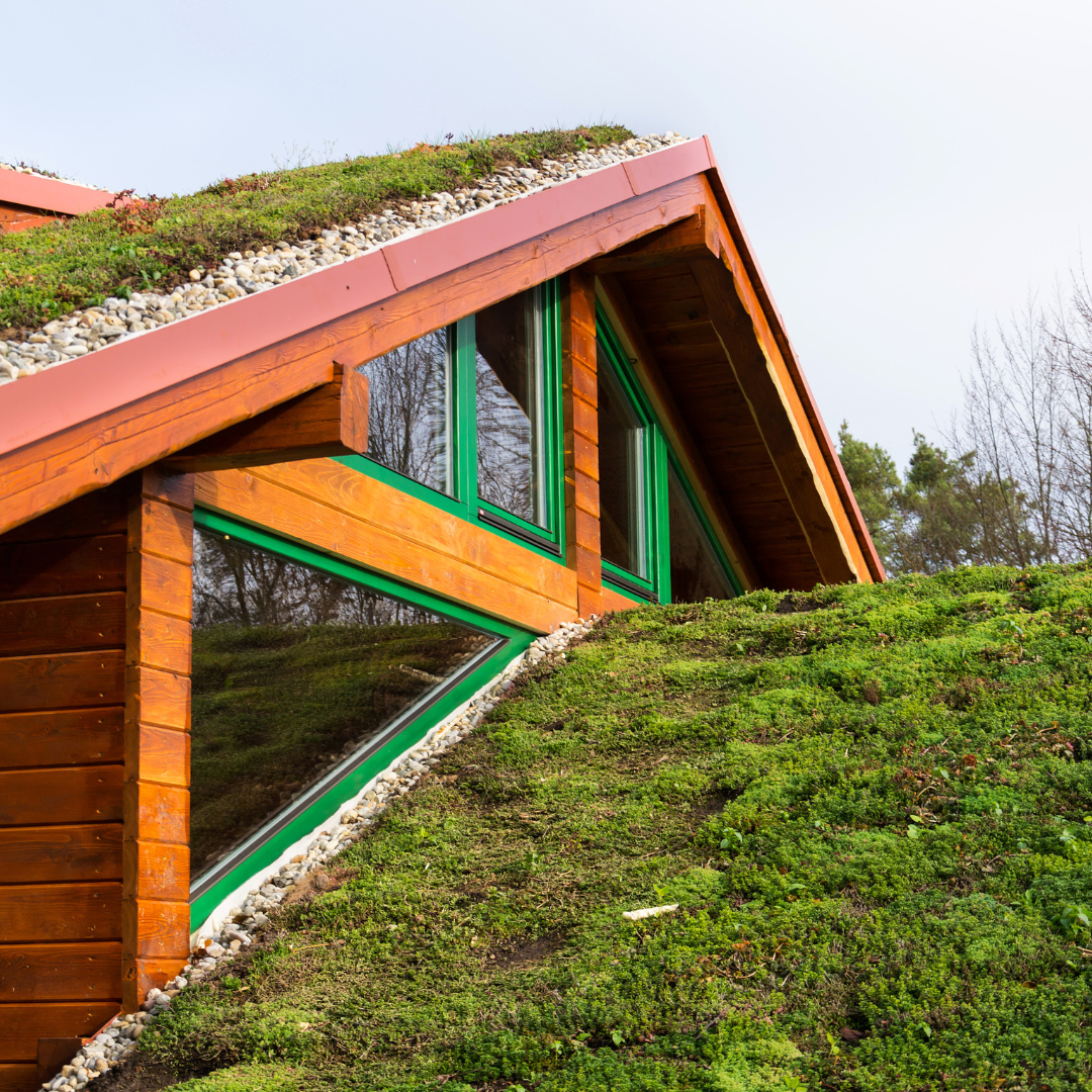 Residential green roof