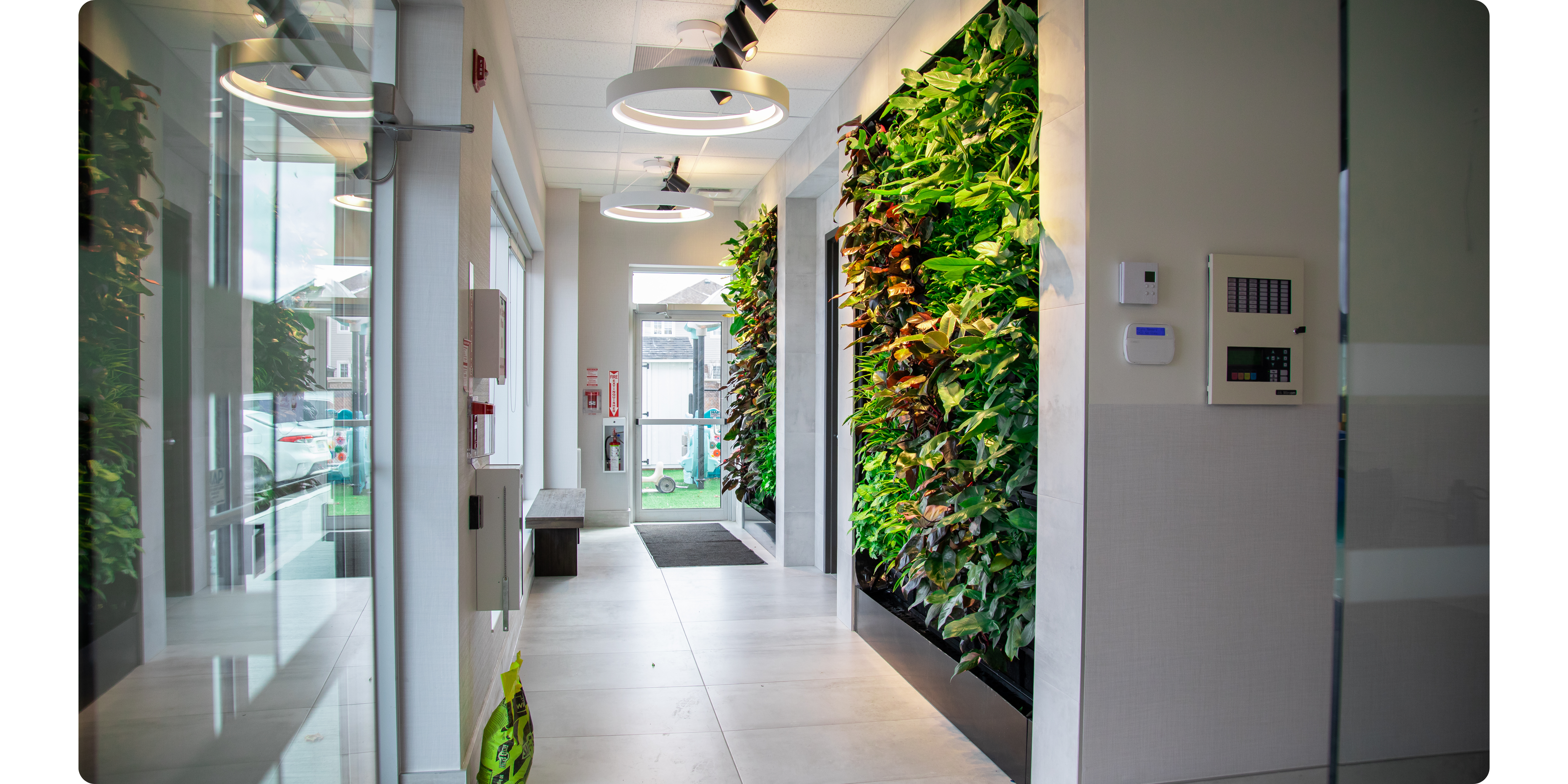 Office living wall with grow lights.