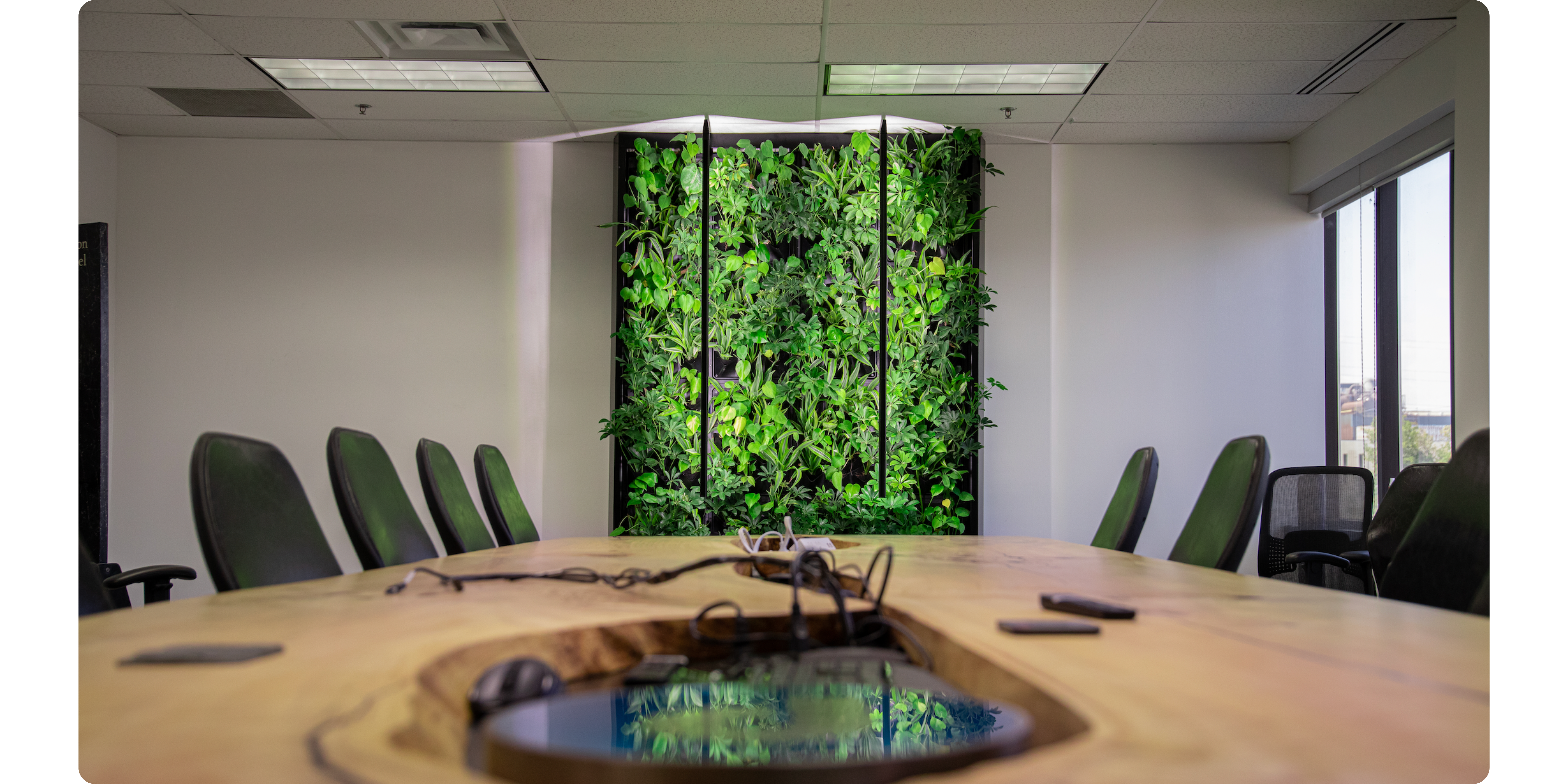 Boardroom Living Wall with Integrated Lights