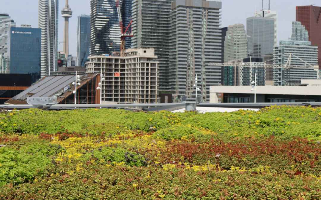 City of Toronto – Green Roof By-Laws