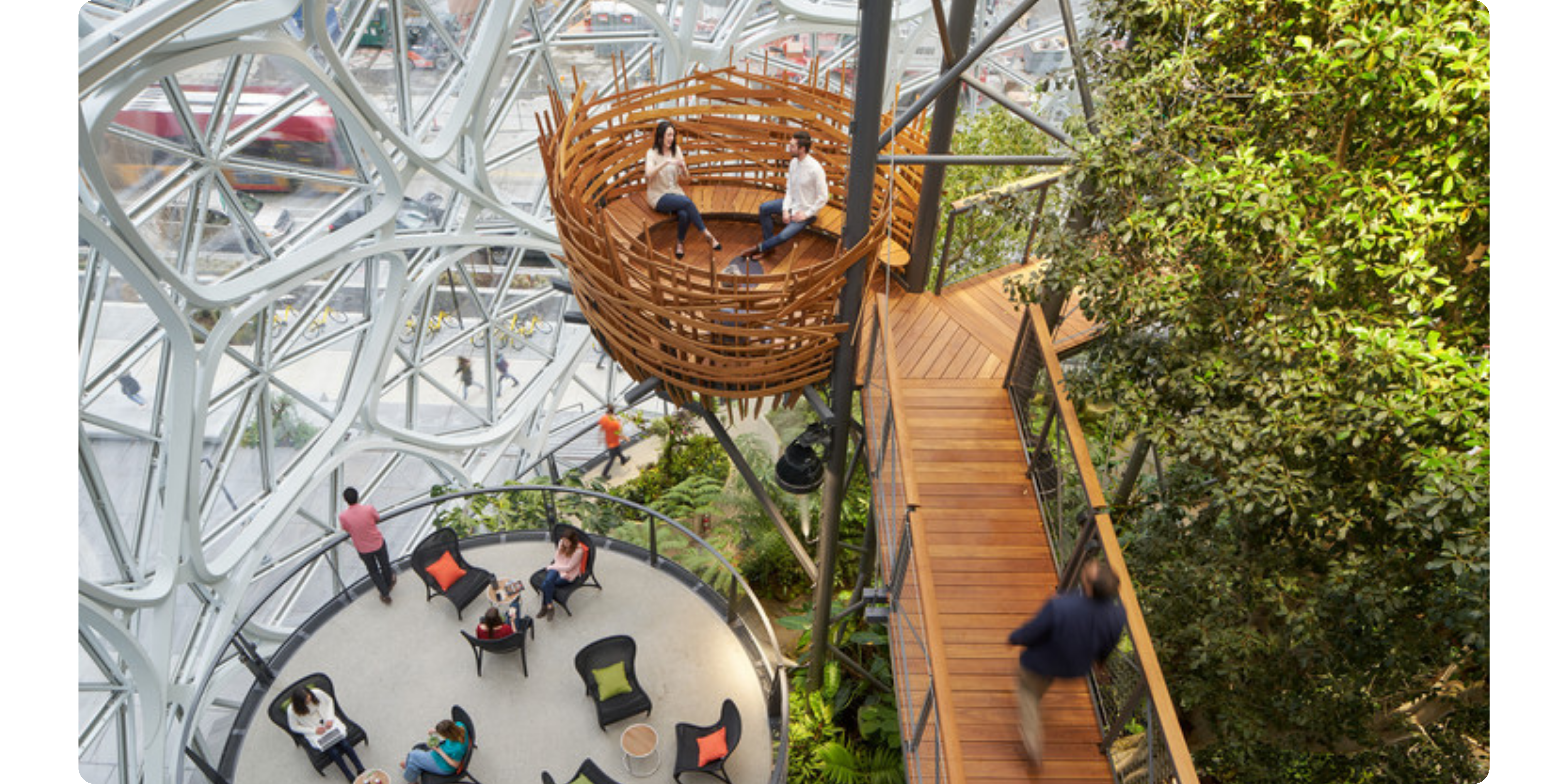 Interior look at Amazon's Spheres in Seattle