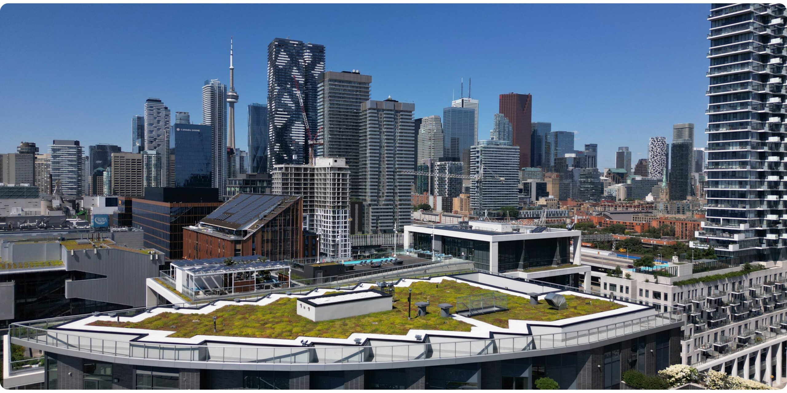 Green roof in Toronto