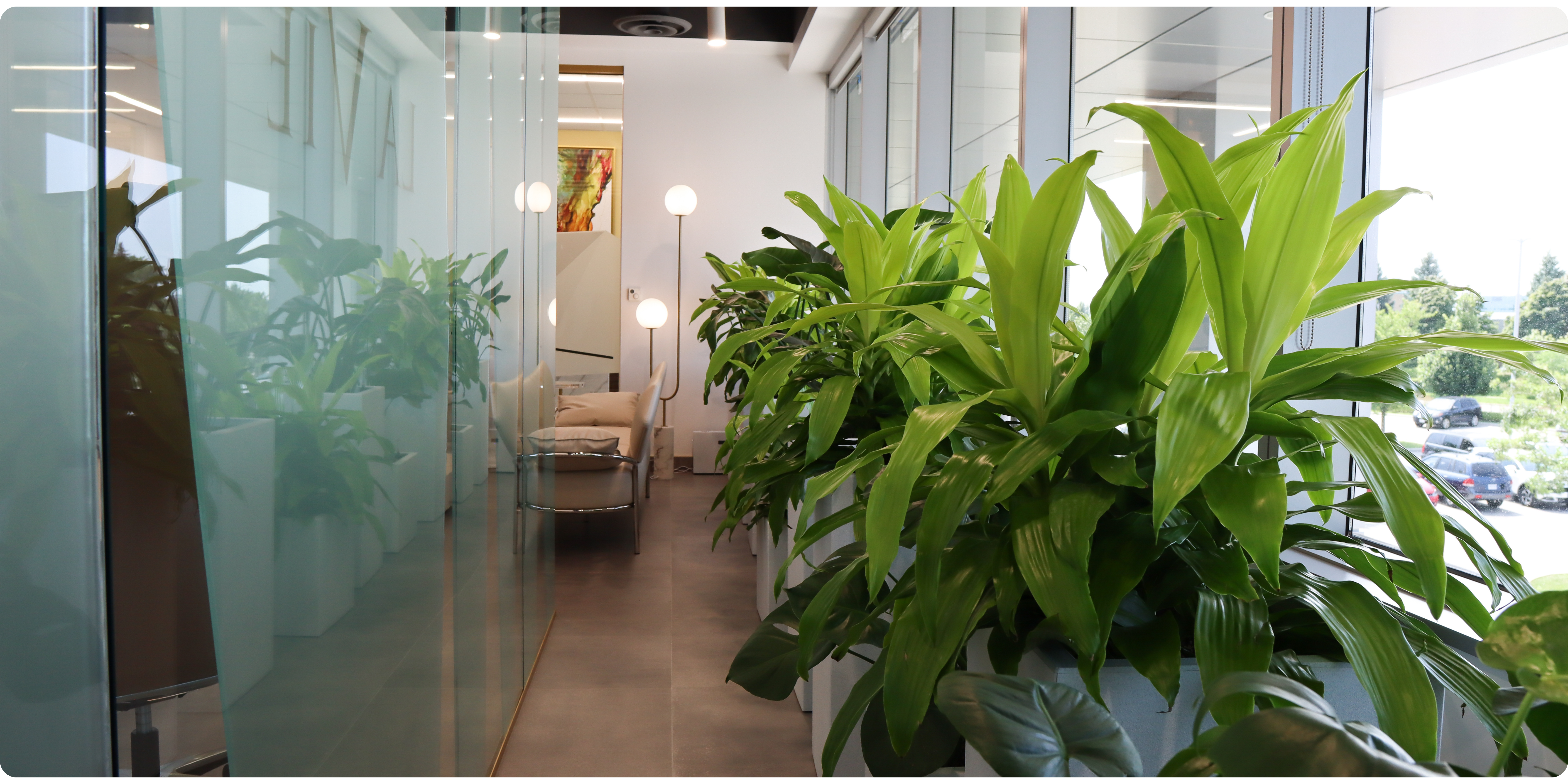 La Vie lobby planters