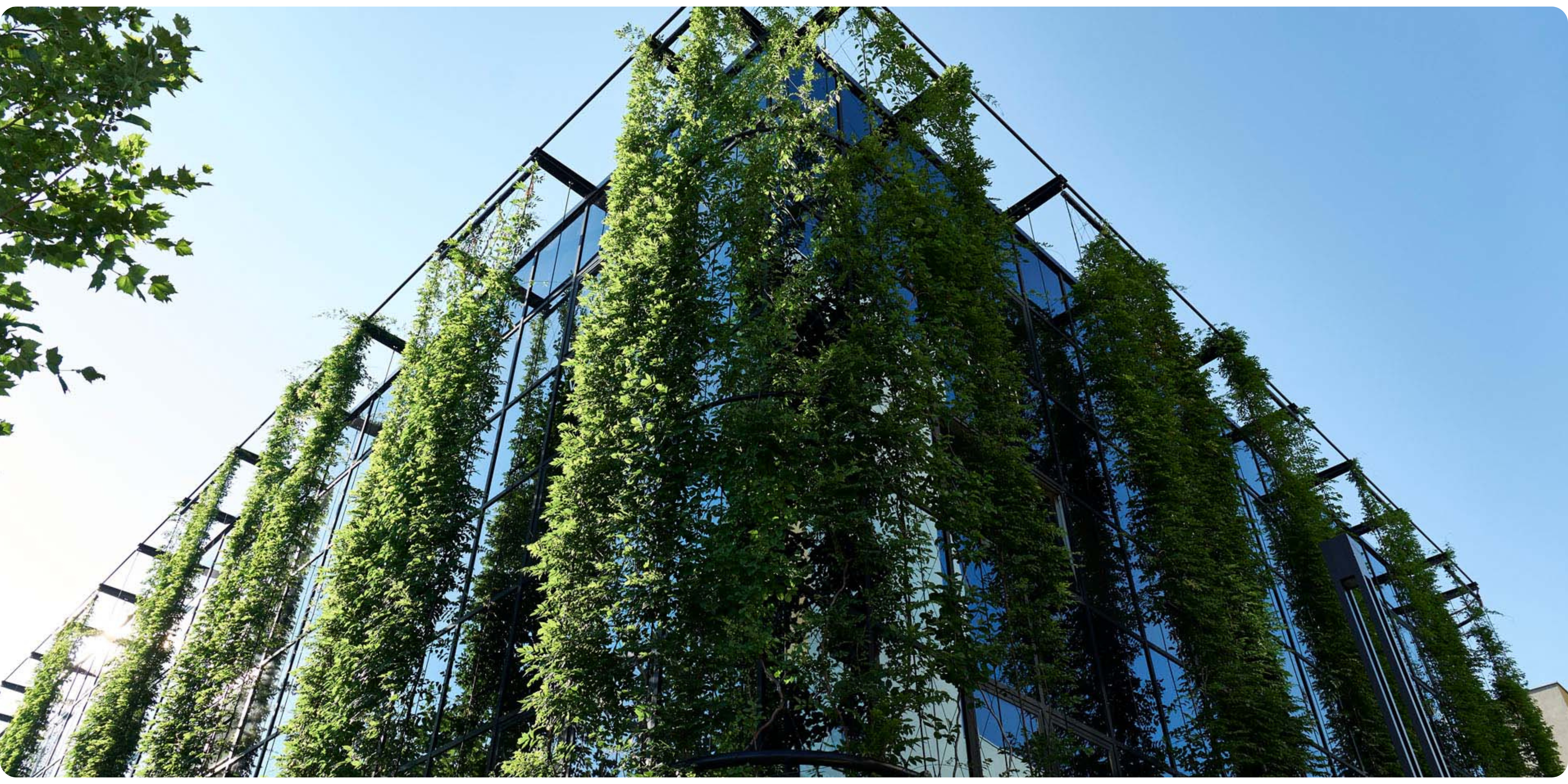 Lush trellis green facade