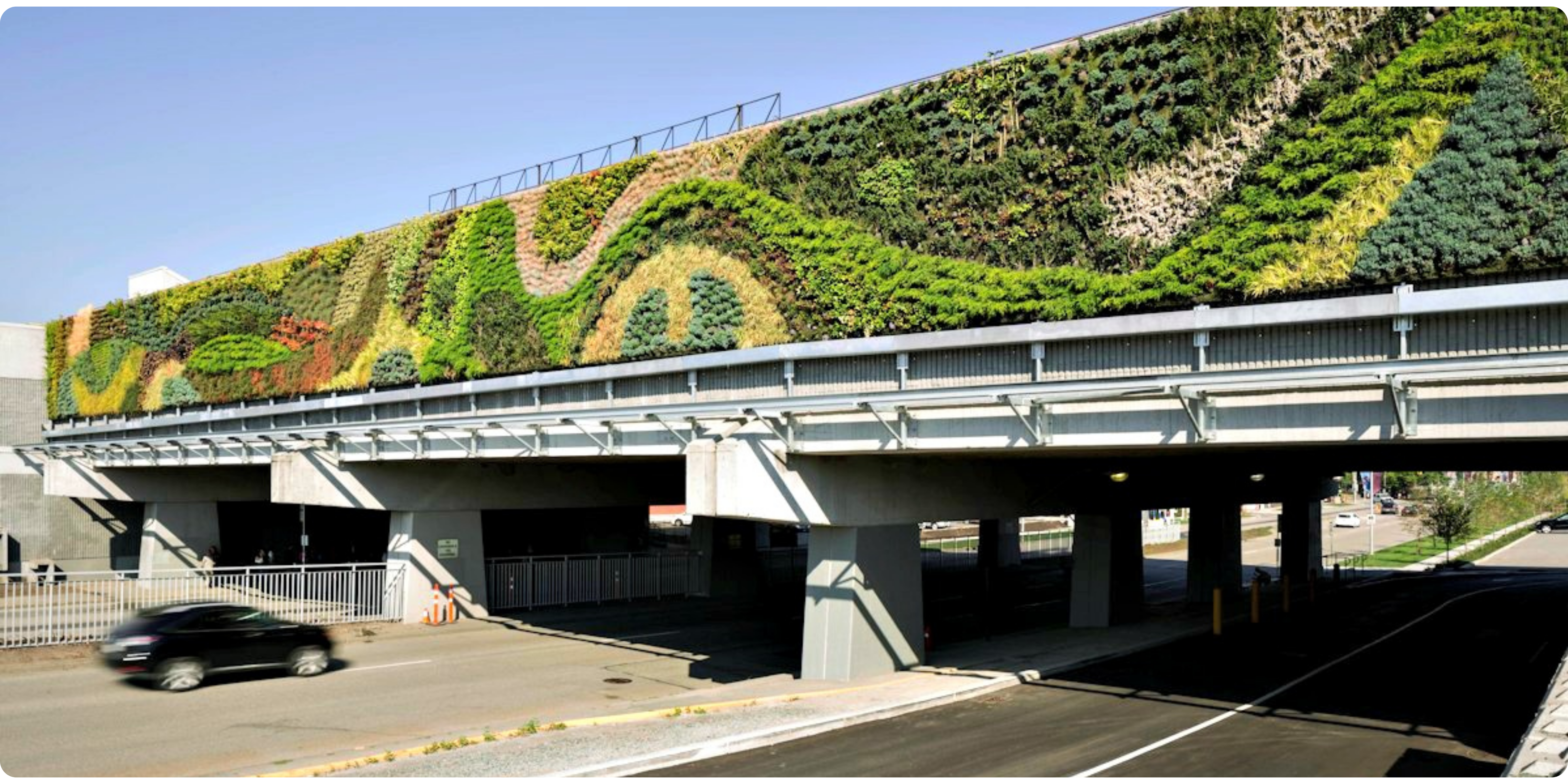 Largest Outdoor Living Wall in North America