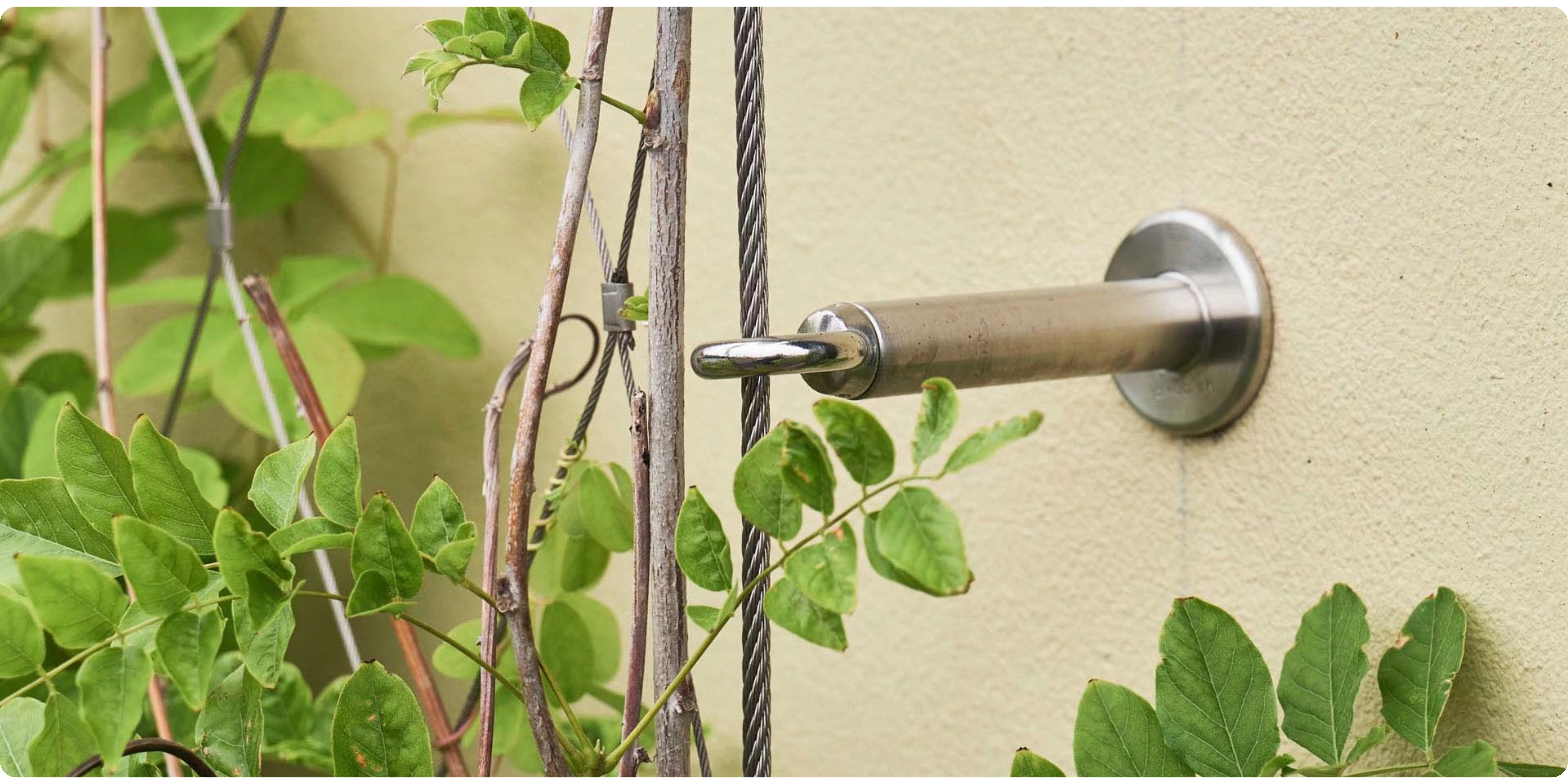 Exterior green facade trellis system close up