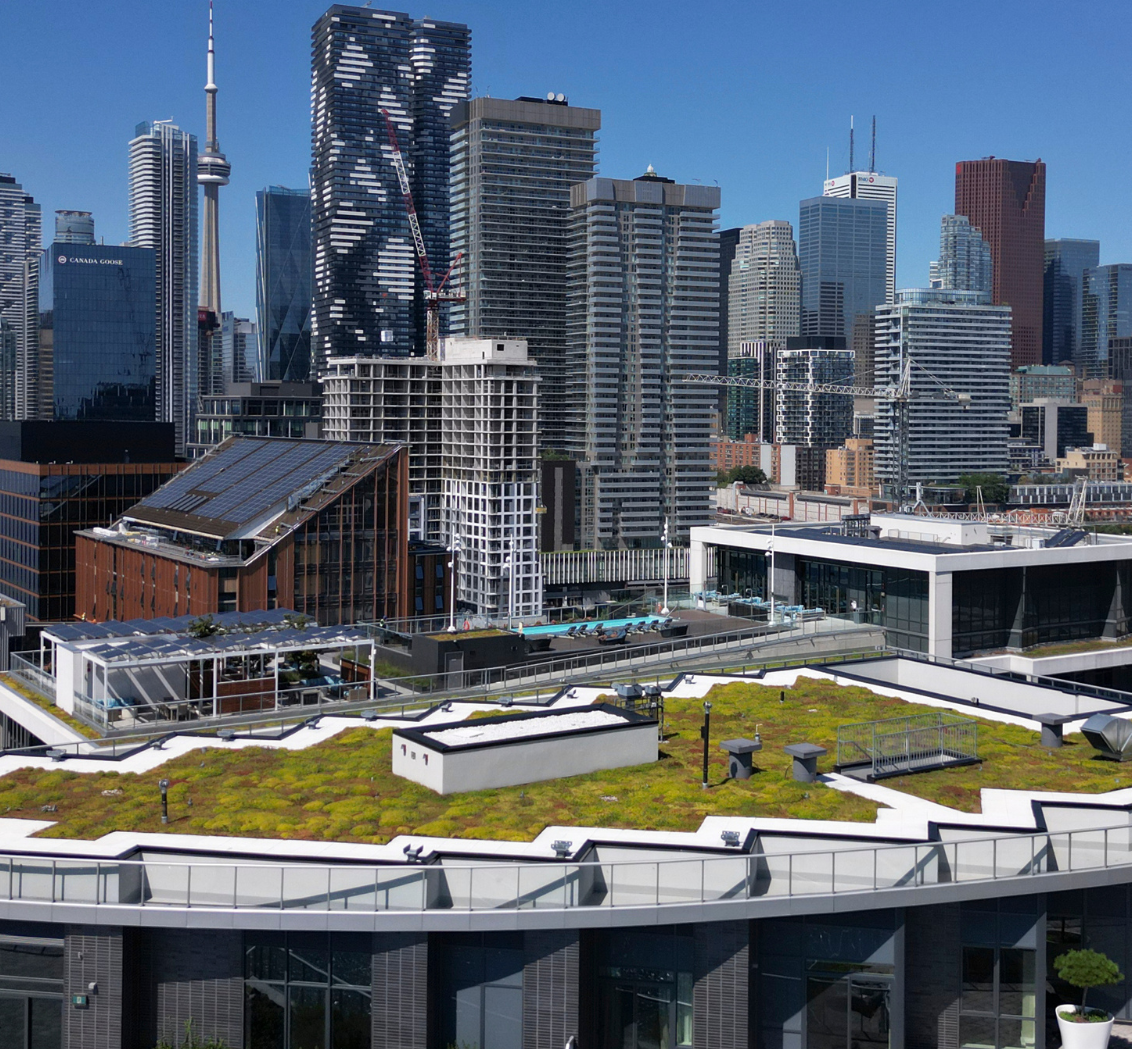 Green roof in Toronto