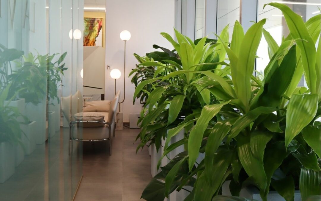 Biophilic Design in Healthcare: La Vie Executive Health Centre