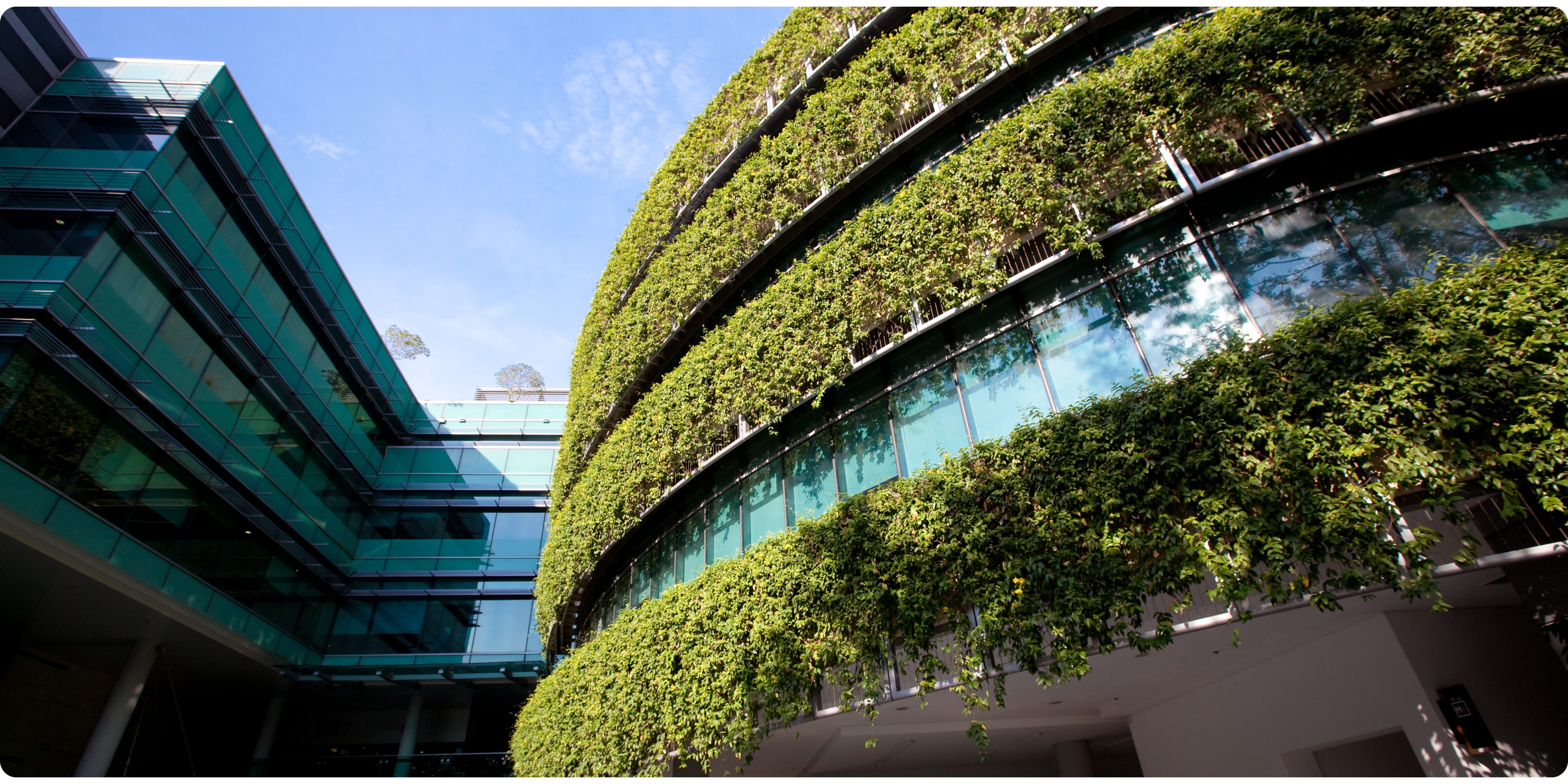 Exterior green facade wrapping around building