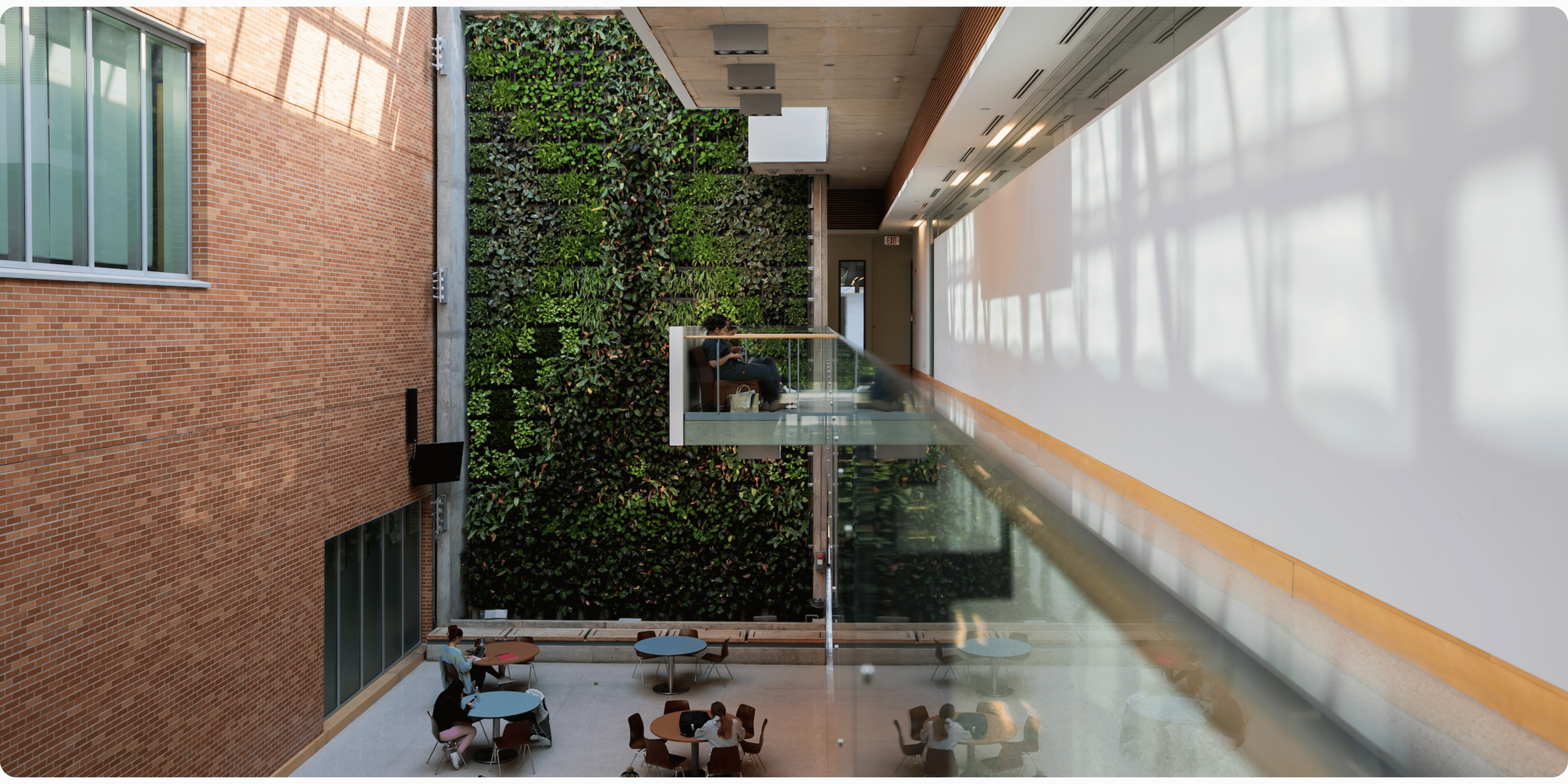 Green architecture on University campus