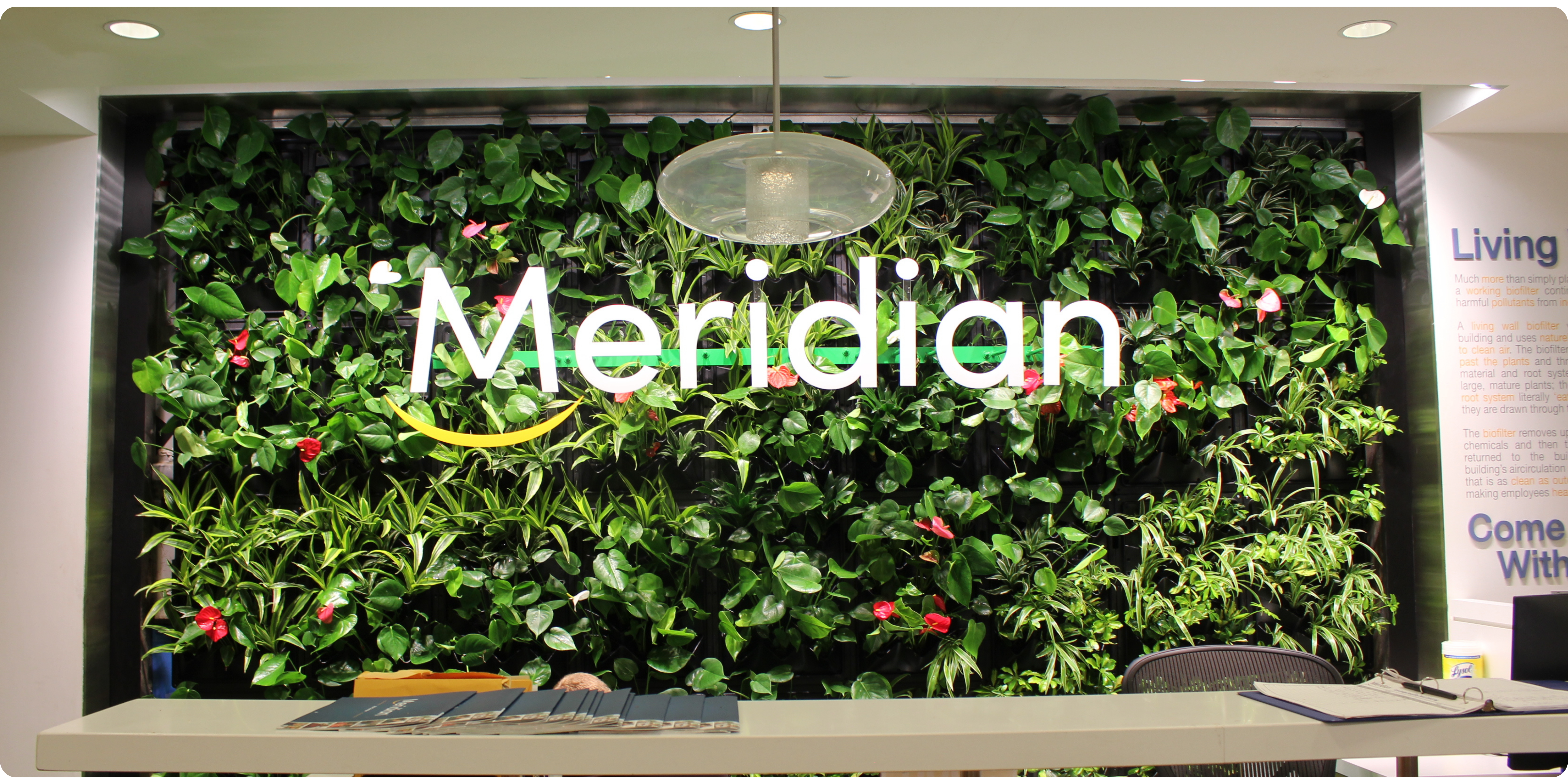 Meridian's living wall with integrated logo