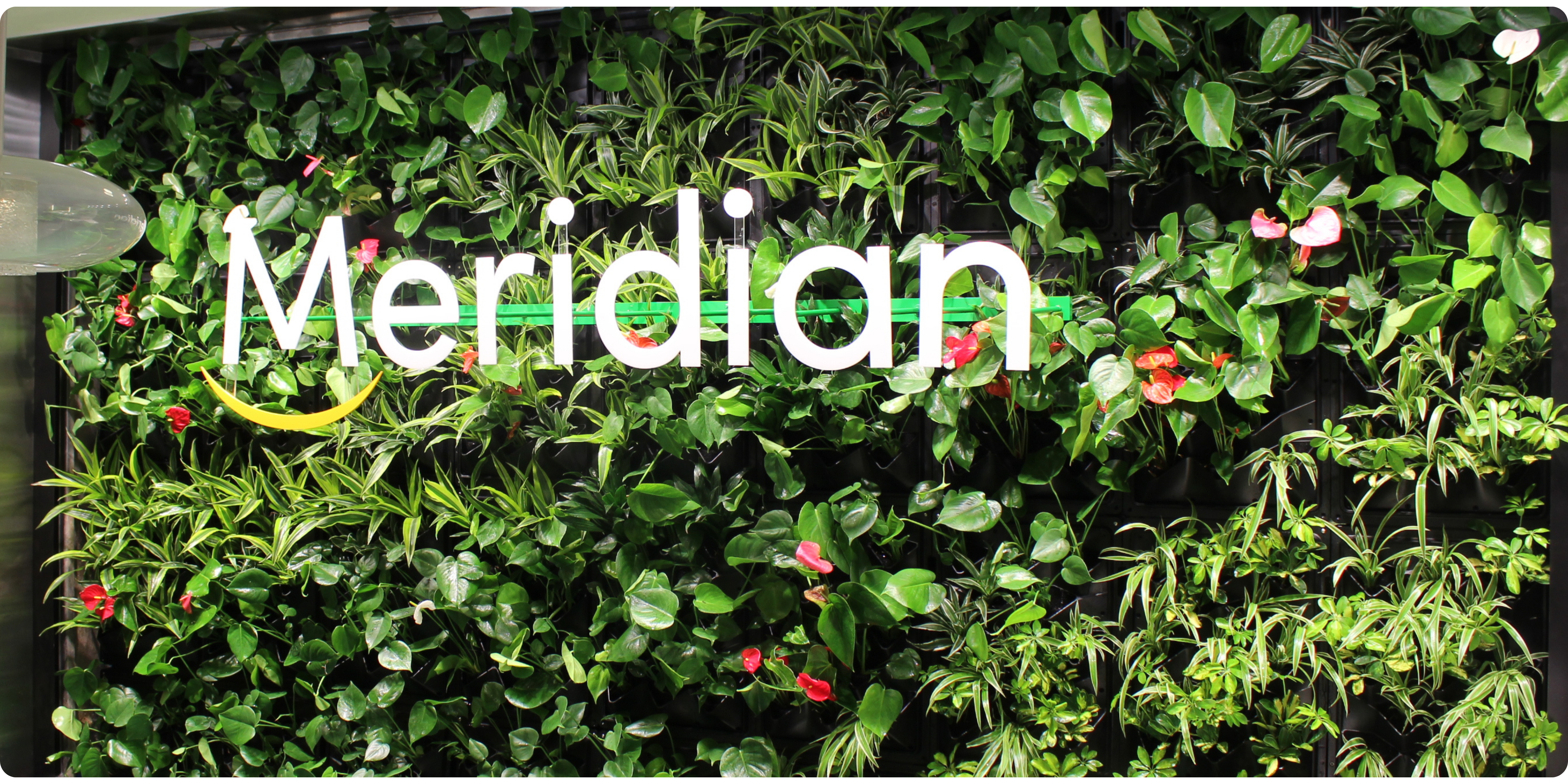 Meridian's sustainable choice for a living wall