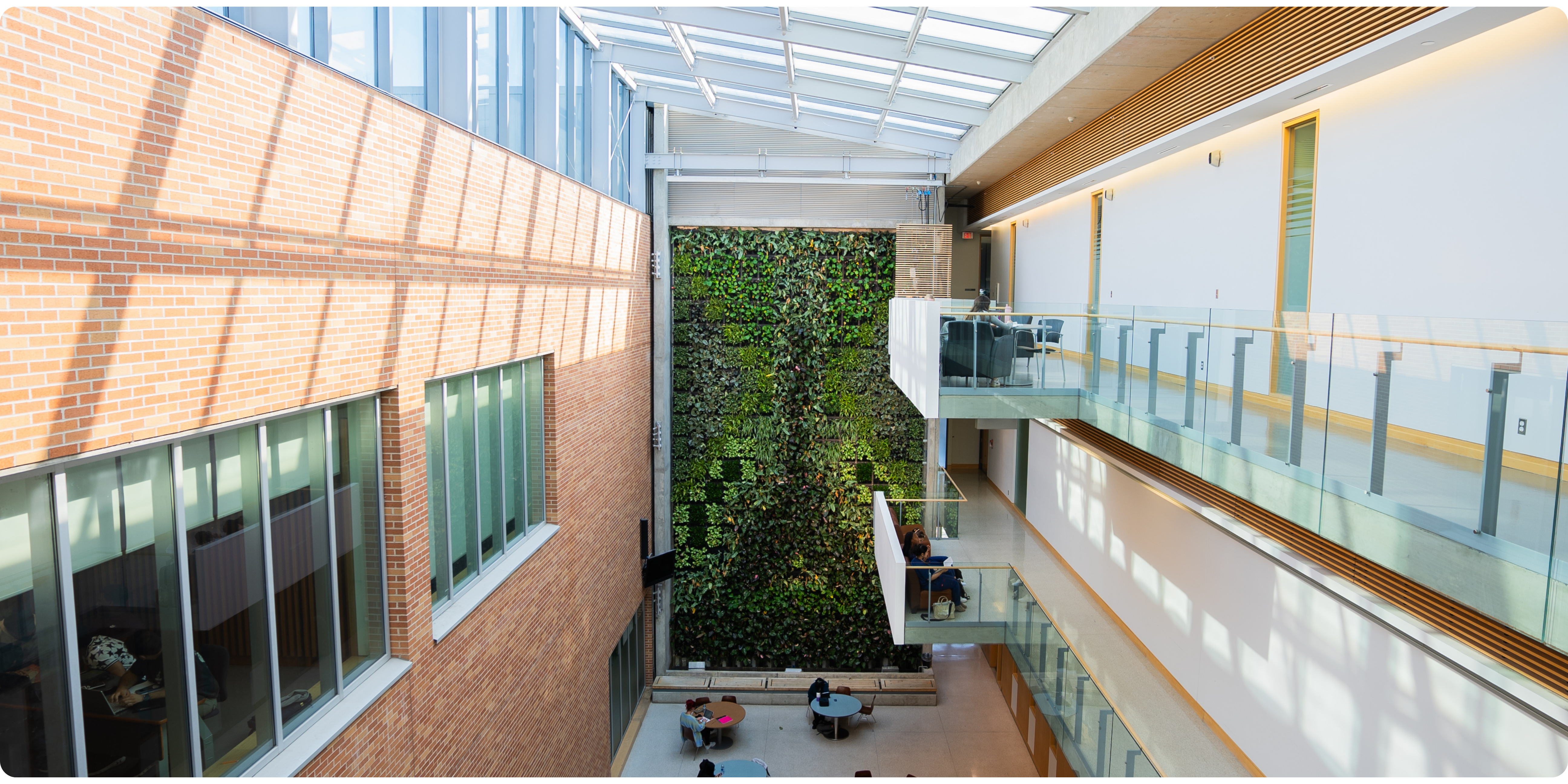 Living wall improving the air in the indoor environment