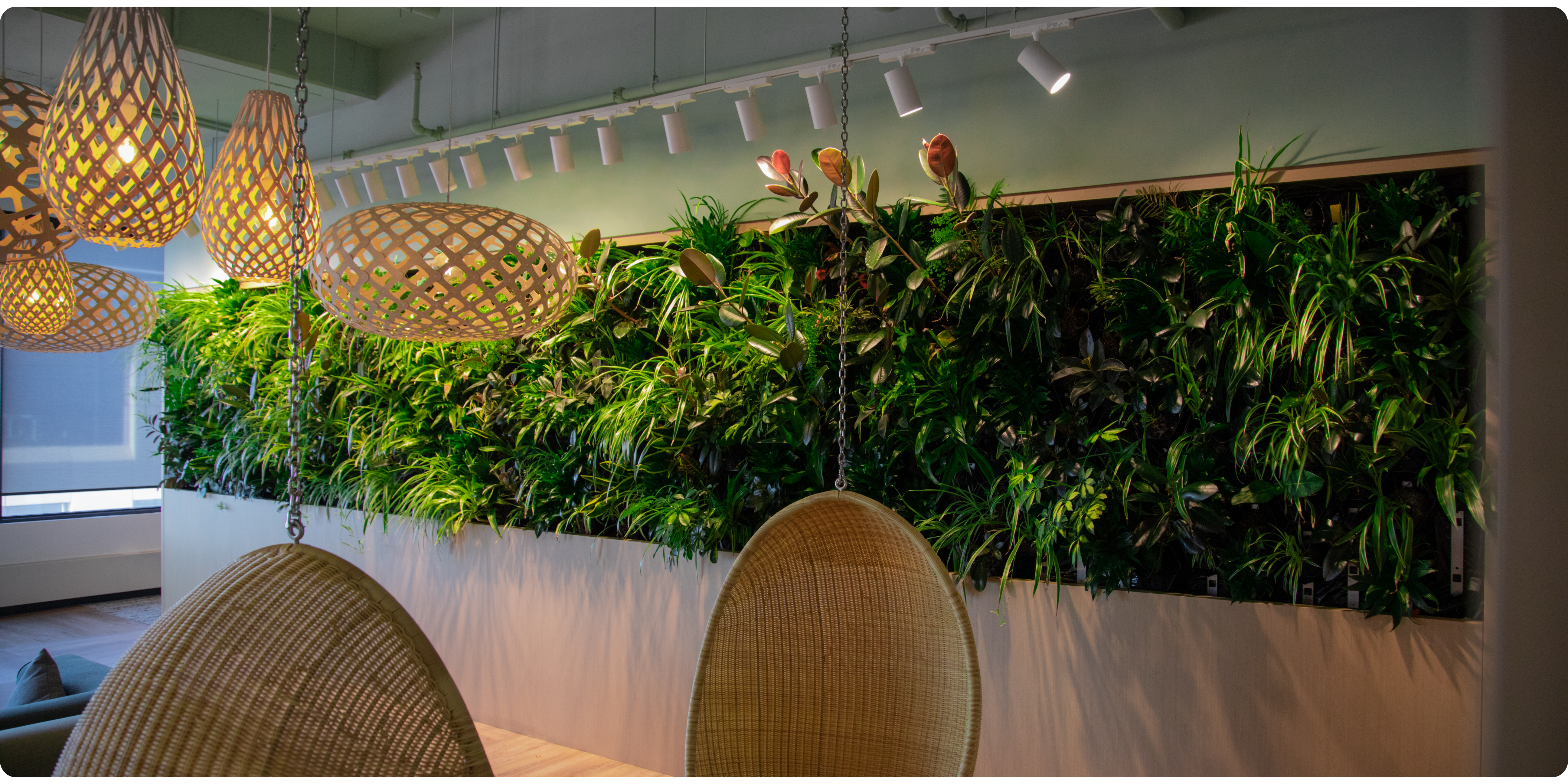 Living wall improving the indoor environment