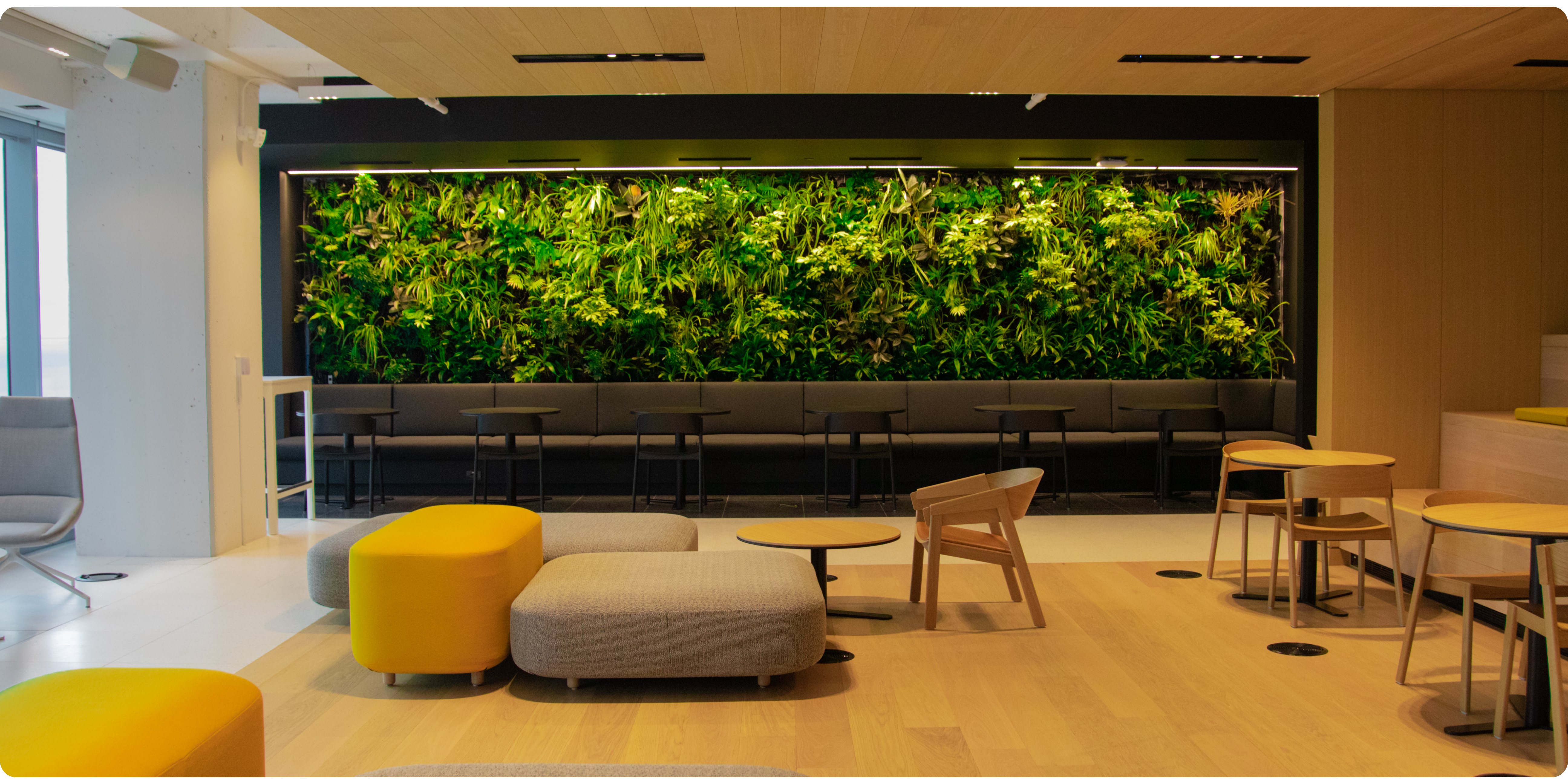 Biofilter living wall in use for improved indoor air quality