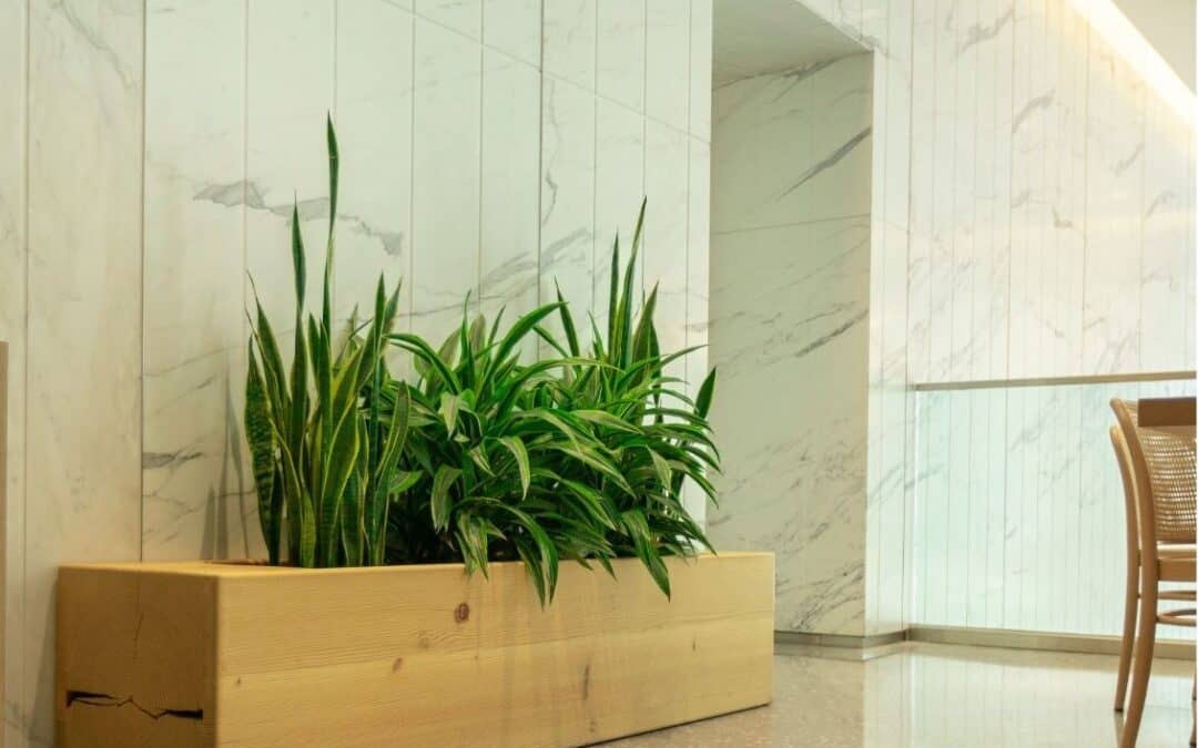Why Does Plantscaping Matter?
