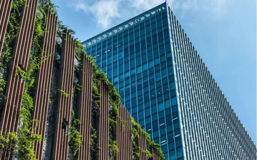 Best Options to Increase Urban Biodiversity in Canada