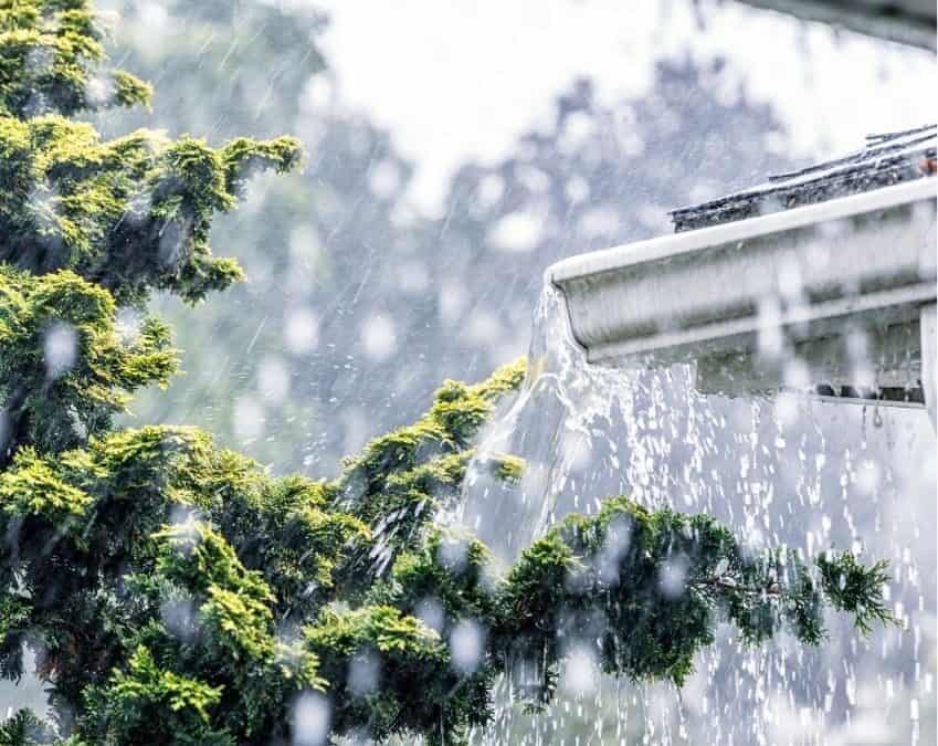 Preparing Your Green Roof for the Rainy Season